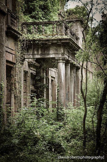 •§♥§• Overtaken By Nature, Night Wing, Reckless Abandon, David Roberts, Ancient Places, Urban Exploring, Abandoned Castles, Location Inspiration, Abandoned Mansions