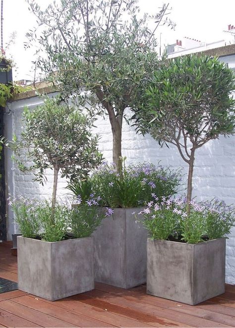 Garden Ideas Large, Large Garden Planters, Garden Troughs, Moderne Have, Large Backyard Landscaping, Contemporary Planters, Cement Planters, Garden Containers, Outdoor Gardens Design