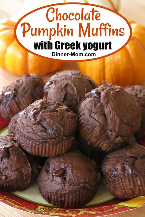 Homemade Muffins Recipe, Chocolate Pumpkin Muffins, Pumpkin Muffin Recipes, Extra Protein, Chocolate Pumpkin, Healthy Muffin Recipes, Homemade Muffins, Healthy Pumpkin, Pumpkin Muffins