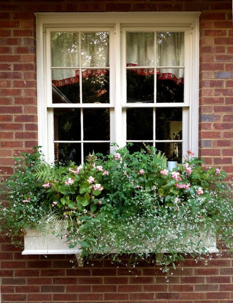 Red Brick Exteriors, Fall Window Boxes, Rustic Cottage Style, Window Box Plants, Summer Window, Window Box Flowers, Window Planters, Flower Window, Red Brick House