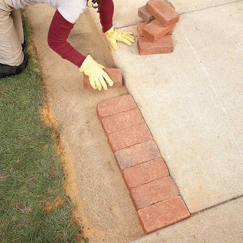 Use Brick Borders for Path Edging | The Family Handyman Landscaping Border, Landscaping Patio, Paver Edging, Brick Border, Patio Edging, Path Edging, Concrete Path, Brick Edging, How To Install Pavers