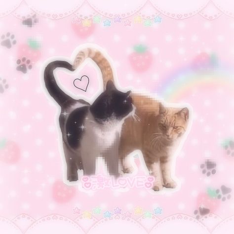 Seni Korea, Cats In Love, Kawaii Core, Silly Cats Pictures, Cat Icon, Silly Animals, Pink Cat, Silly Cats, Pretty Cats