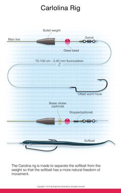 Amazon.com: Pike & Predator Fishing - The essential rigs eBook: Andy Steer: Kindle Store Fish Chart, Carolina Rig, Fishing Hook Knots, Pesca In Mare, Largemouth Bass Fishing, Saltwater Fishing Lures, Salt Water Fishing, Bass Fishing Lures, Bass Fishing Tips