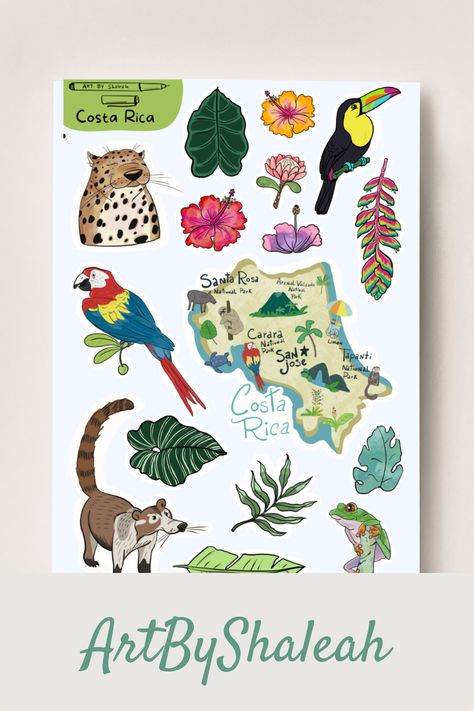 Make your bullet journal extra special with my hand-drawn illustrations stickers! Go traveling with this enchanting sticker sheet features a cute illustration of wildlife and tropical plants from Costa Rica on high-quality matte sticker paper. Costa Rica Doodles, Costa Rica Drawing, Tropical Plants Illustration, Costa Rica Tattoo, Costa Rica Art, Costa Rica Travel, Travel Stickers, Collage Wall, Plant Illustration