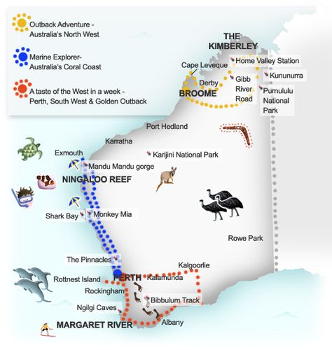 Suggested itineraries map for Western Australia. Illustration by Lisa Joanes Perth Itinerary, Western Australia Map, West Coast Australia, Australia Illustration, Western Australia Road Trip, Perth Travel, Shopping Arcade, Arched Bridge, Australian Slang