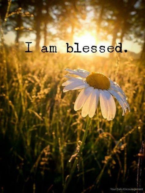 Tragedy Quotes, Thank You Memes, Blessed Is She, Some Good Quotes, 25th Quotes, Daily Encouragement, Thinking Quotes, Life Thoughts, I Am Blessed