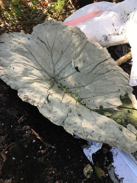 leaf casting in cement bird bath, bathroom ideas, concrete masonry Leaf Casting, Concrete Bird Bath, Concrete Leaves, Flea Market Gardening, Woman Laying, Stepping Stones Diy, Tiny Mushroom, Bird Bath Garden, Elephant Ears