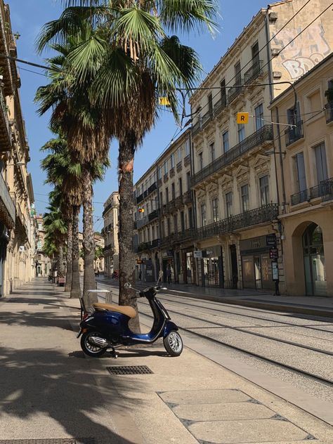 Sidewalk in Montpellier with palm trees and a scooter. Montpelier France, Interrailing Europe, France Fits, French Trip, Travelling Europe, Montpellier France, Dream Trips, French Summer, Summer 2025