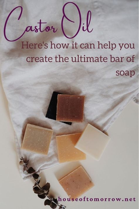 Soap Making For Beginners, Making Bar Soap, Using Castor Oil, Castor Oil Shampoo, Handmade Shampoo, House Of Tomorrow, Shampoo Bar Recipe, Natural Soaps Recipes, How To Make Soap