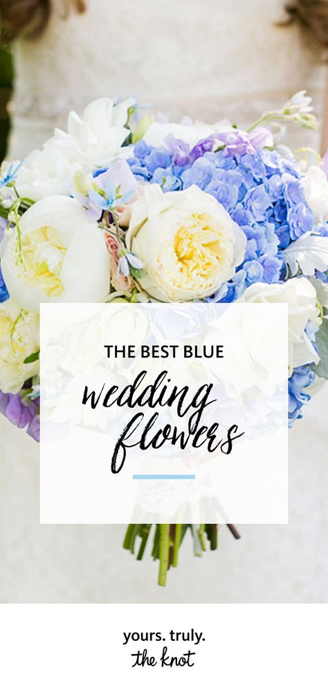 Real Blue Flowers For Wedding, Blue Flower Arrangements Wedding, Blue Bouquet Wedding, March Wedding Flowers, Blue Wedding Flowers Bouquet, Types Of Blue Flowers, Wedding Flowers Blue, September Wedding Flowers, Blue Flower Arrangements