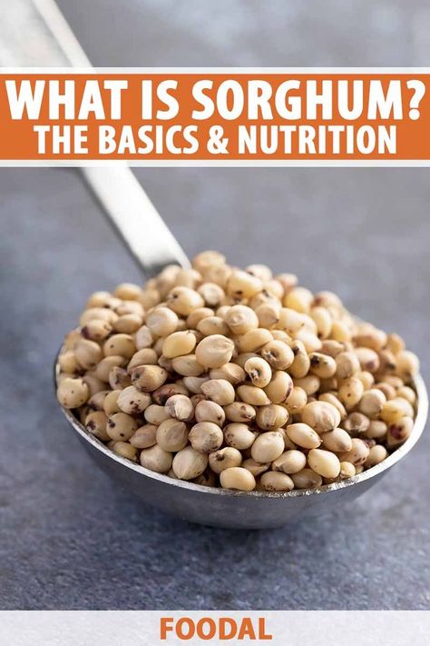 Sorghum is a natural food available in American markets that is a mystery to many shoppers. In addition to finding variations of it in raw form, it is an ingredient in numerous processed foods and recipes. Read on to learn about the health benefits and possible risks of eating sorghum. #sorghum #realfoods #foodal Sorghum Recipes, Delicious Deserts, Diy Desserts, Japan Food, Eating Raw, Food Market, Food Labels, Food Culture, Processed Food