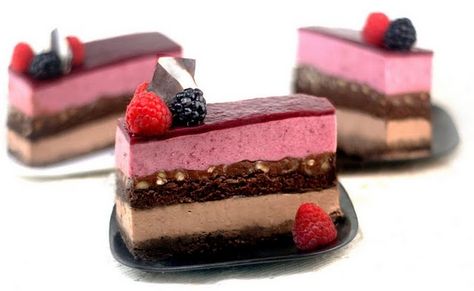 Hazelnut Ganache, Berry Mousse, Entremet Recipe, Chocolate Panna Cotta, Mousse Cakes, Layered Desserts, Yogurt Cake, Elegant Desserts, French Desserts