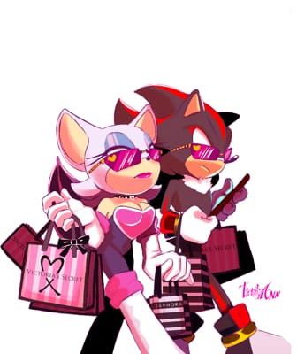 Rouge And Shadow, Sonic Pics, Shadow And Rouge, Shadow And Amy, Rouge The Bat, Sonic Heroes, Girl Pfp, Sonic Funny, Sonic Fan Characters