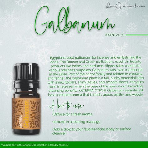 Galbanum Essential Oil, Hyssop Essential Oil, Myrtle Essential Oil, Essential Oil Blends Recipes, Perennial Herbs, Essential Oil Benefits, Doterra Oils, Doterra Essential Oils, Doterra