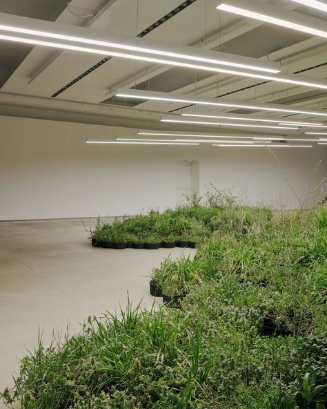 An Adjacent Field Spills Through The Milanese Headquarters Of Jil Sander - IGNANT