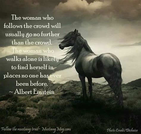 This is for all the girls who don't "fit in" at Darlington. Remember, the "cool kids" and the cliques will disband. You be true to yourself, and you'll shine. You don't want to peak in Middle School or High School! Wild Spirit Quotes, Equine Quotes, Inspirational Horse Quotes, Horse Riding Quotes, Equestrian Quotes, Cowgirl Quotes, Riding Quotes, Funny Horses, Country Girl Quotes