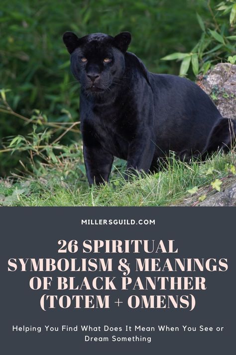 Black Panther Symbolism, Black Panther Spiritual Meaning, Black Panther Totem, Black Panther Spirit Animal, Panther Symbolism, Panther Meaning, Panther Spirit Animal, Black Panther Quotes, Black Panther Symbol