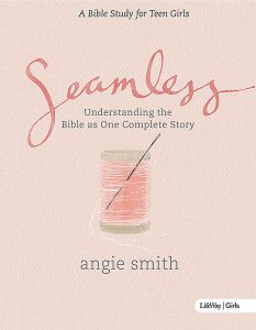 Seamless Bible Study, Teen Girls Bible Study, Girl Bible Study, Teen Study, Angie Smith, Led Girls, Bible Study Books, Understanding The Bible, Teaching Videos