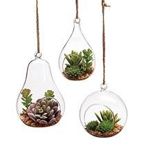 Hanging Succulents - Set of 6 Hanging Glass Terrarium, Small Succulent Plants, Hanging Candle Holder, Hanging Terrarium, Terrarium Containers, Air Plant Terrarium, Support Plante, Air Plant Holder, Glass Terrarium