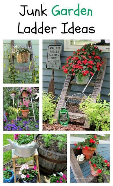 Adding Ladders to the Flower Garden Ladders In The Garden, Garden Ladder Ideas, Cotinus Coggygria, Ladder Ideas, Garden Ladder, Junk Garden, Small Flower Gardens, Garden Junk, Diy Outdoor Decor