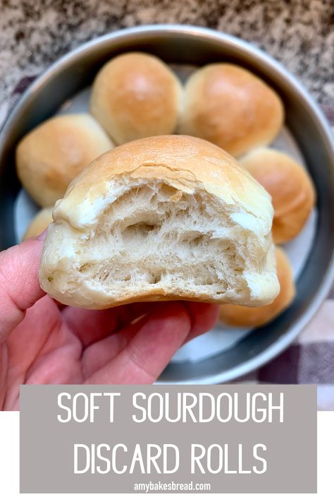 Sourdough Discard Rolls, Discard Rolls, White Rolls, Recipe Using Sourdough Starter, Sourdough Bread Starter, Dough Starter, Sourdough Starter Discard Recipe, Homemade Sourdough Bread, Bread Starter