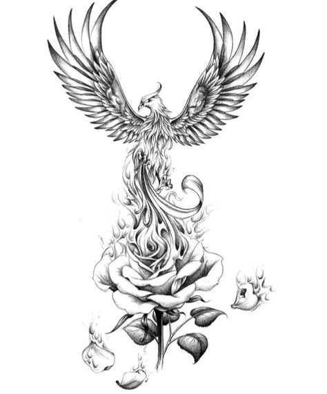 Burning Flower Tattoo Design, Lotus Flower With Phoenix Tattoo, Phoenix With Roses Tattoo, Phoniex Back Tattoo Women, Rose And Phoenix Tattoo, Burning Pheonix Tattoo, Order Of The Phoenix Tattoo, Phoenix And Rose Tattoo, Phoenix Rising From Flames Tattoo