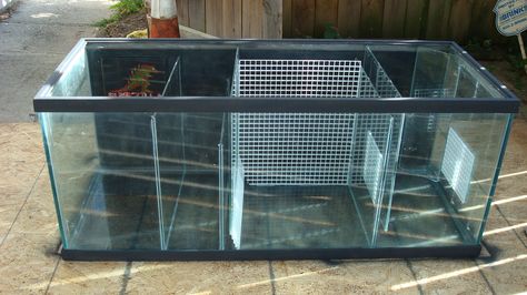 build a sump tank! 75 Gallon Aquarium, Saltwater Aquarium Setup, Aquarium Sump, Sump Tank, Saltwater Aquarium Fish, Diy Fish Tank, Saltwater Fish Tanks, Fish Tank Design, Marine Tank