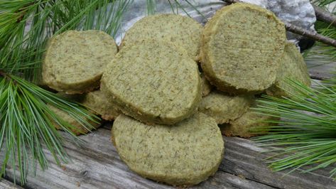 Easy-to-Make Pine Cookies Recipe Pine Cookies, Foraging Recipes, Wild Edibles, Food Categories, How To Squeeze Lemons, Cookies Recipe, Salted Butter, Cookie Recipe, Monster Cookies