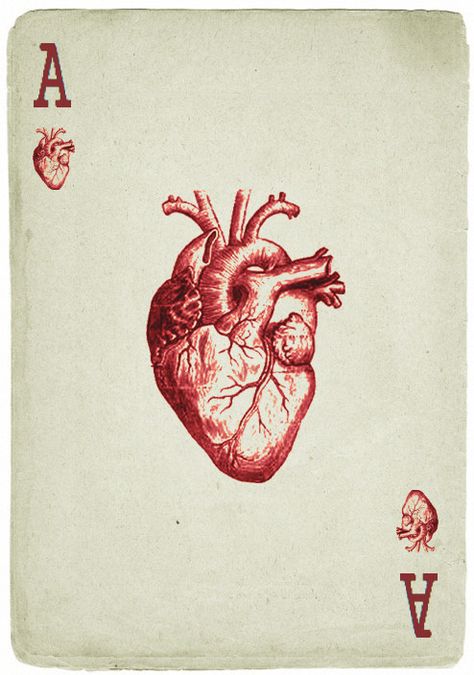 Anatomical Heart Art, Kartu Remi, Lizzie Hearts, Ace Of Hearts, E Tattoo, Its A Mans World, Card Tattoo, Fallout New Vegas, Heart Drawing