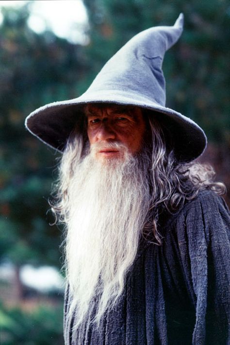 Gandalf Lord Of Rings, John Howe, Long White Hair, Gandalf The Grey, Into The West, Ian Mckellen, Bilbo Baggins, Fellowship Of The Ring, The Shire