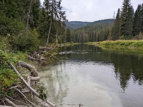 Priest River Experimental Forest | US Forest Service Research and Development Priest River Idaho, Us Forest Service, Forest Ecosystem, Tree Growth, Daily Weather, Continental Divide, Research Center, Weather Station, Forest Service