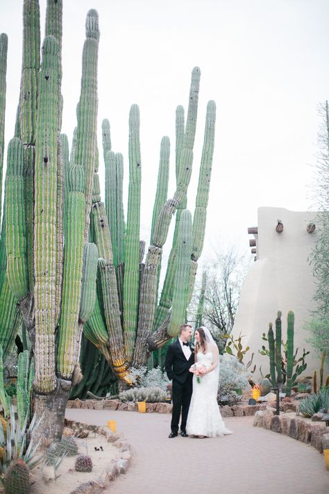 Desert Spring Wedding, Desert Wedding Favors, Desert Botanical Garden Arizona Photoshoot, Cactus Collective Wedding, Desert Botanical Garden Wedding, Wedding Joshua Tree, Renewal Vows, Herb Wedding, Arizona Cactus