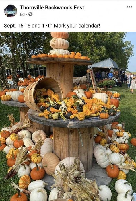 Roadside Pumpkin Stand, Pumpkin Stand Ideas, Fall Farm Stand, Pumpkin Patch Display, Pumpkin Displays Outside, Pumpkin Patch Decorating Ideas, Pumpkin Display Ideas, Pumpkin Patch Ideas, Pumpkin Patch Decoration