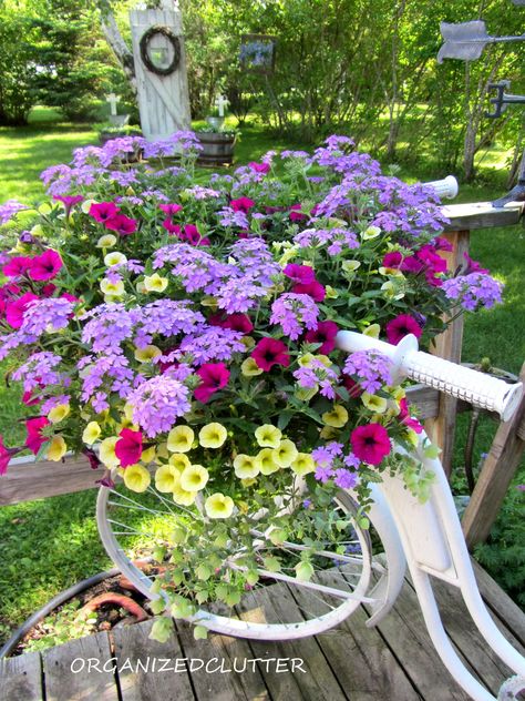 Organized Clutter: Add a Bike to Your Garden Just for the Fun of It Bicycle With Flowers, Bike Planter, Garden Remedies, Bicycle Basket, Bike Basket, Garden Containers, Garden Decorations, Garden Photos, Ideas Garden