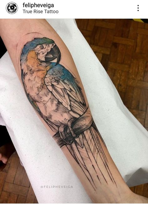 Parrot Tattoo, Parrot Drawing, Colorful Tattoo, Amazon Parrot, Sleeves Ideas, Creative Tattoos, Color Tattoo, Tattoo Drawings, Blackwork