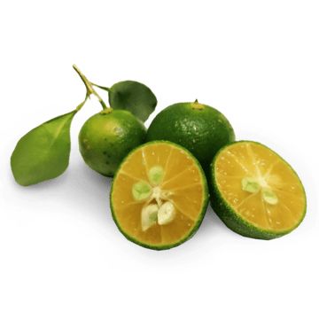 calamansi,citrus,fruit,orange,food,fresh fruit,citrus fruit,tangerine,orange citrus,summer,fresh fruits,fresh,fruits,lemon,material,citrus medica,white,element,green fruit,lime,fresh oranges,oranges,vitamin c,juicy,sweet,condiments,golden lime,citrus decoration,yellow green,citrus illustration,featured citrus,sour,asam,jeruk,jeruk kunci,limau,jeruk sambal,pontianak,buah,citrofortunella,kalamansi,microcarpa,citrus microcarpa,bengkulu Citrus Illustration, Orange Food, Fruit Png, Fruit Clipart, Sour Foods, Green Tangerine, Fruit Orange, Orange Citrus, Fruit Picture