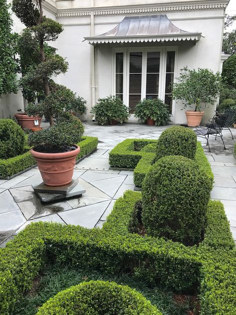 Boxwood Garden, Lavender Rosemary, Garden District, Formal Gardens, Olive Trees, Patio And Garden, Landscaping Tips, Garden Landscape Design, Gorgeous Gardens