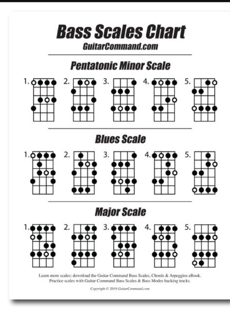 Bass Guitar Major Scales, Guitar Chart, Bass Scales, Bass Chords, Bass Guitar Scales, Bass Guitar Chords, Minor Scale, Chord Progressions, Acoustic Guitar Music