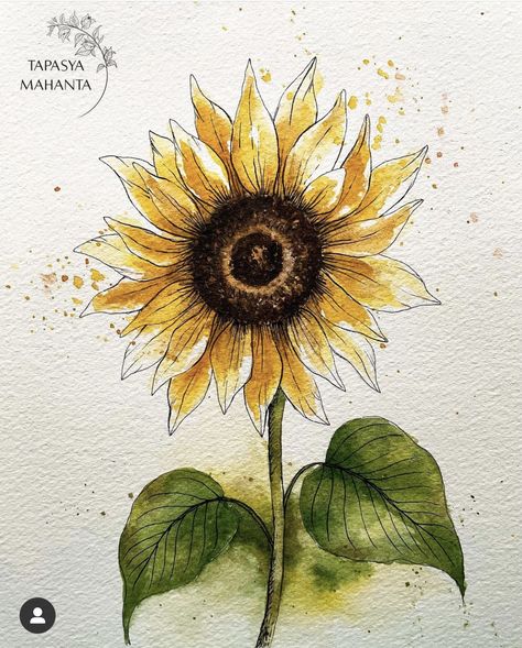 Sunflower Watercolor Painting, Markers Drawing Ideas, Sunflower Drawing, Paper Art Design, Art Tools Drawing, Sunflower Painting, Watercolor Sunflower, Watercolor Drawing, Autumn Art