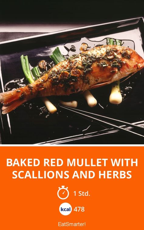 Baked Red Mullet with Scallions and Herbs - 478 kcal - anspruchsvoll - A recipe idea by EAT SMARTER | with Alcohol, Vegetable, Onion, Spices, Herb #fish #recipes Red Mullet Recipe, Mullet Fish Recipes, Mullet Recipe, Mullet Fish, Red Mullet, Broiler Pan, Herb Recipes, Healthy Delicious, Eat Smarter