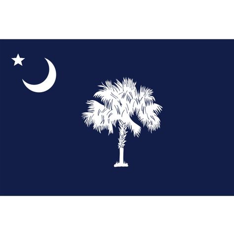 South Carolina flag redesign Flag Redesign, South Carolina Flag, South Carolina, Flag