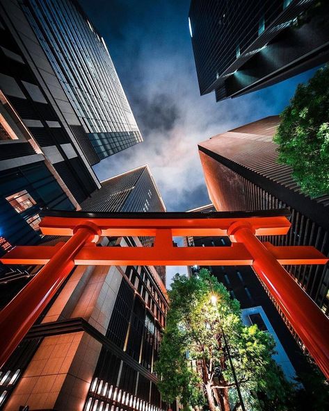 Visit Japan / Americas on Instagram: “The Fukutoku Shrine in Nihonbashi, Tokyo is surrounded by many modern buildings. Legend has it that it is a power spot and is said to bring…” Tokyo Shrine, Nihonbashi Tokyo, Winning Money, Travel Locations, Visit Japan, Tag Photo, Stay Inspired, Modern Buildings, Golden Gate Bridge