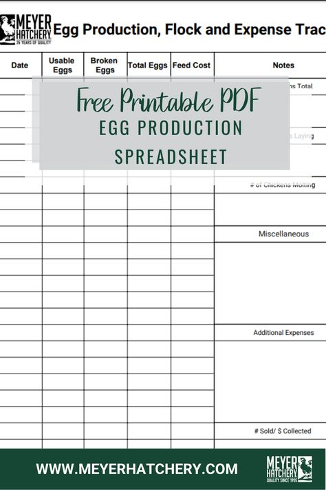 Free downloadable spreadsheet that will assist you in keeping track of your eggs coming in as well as your expense going out. Assists in keeping your egg information organized. Fresh Farm Eggs, Egg Tracker, Agriculture Business Plan, Molting Chickens, Egg Facts, Duck Farming, Agriculture Business, Poultry Farming, Bujo Layout