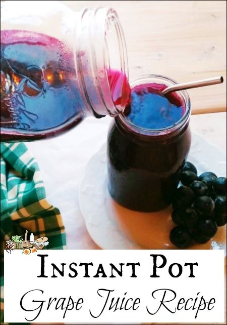 Instant Pot Grape Juice Recipe - Homestead Lady Concord Grape Juice Recipe, Instant Pot Grape Jelly, Concord Grape Recipes, Homemade Grape Juice, Grape Juice Recipe, Front Yard Flower Bed, Hippie Juice, Instant Pot Easy, Food Preserving