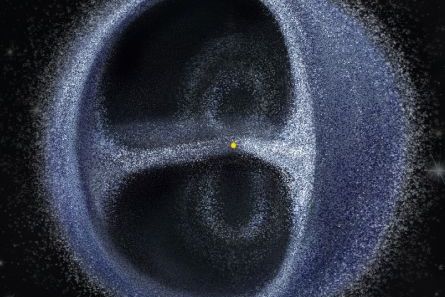 Board Header Image