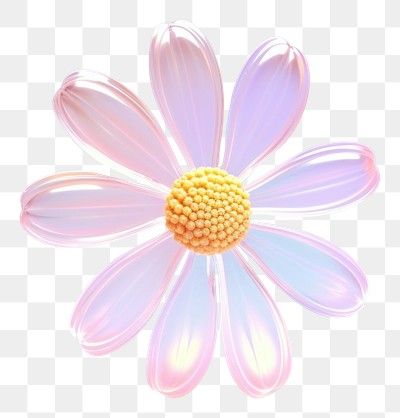 Daisy Icon, Flower Dahlia, Transparent Flowers, Daisy Flower, Free Png, Dahlia, Blossom, Daisy, Flowers