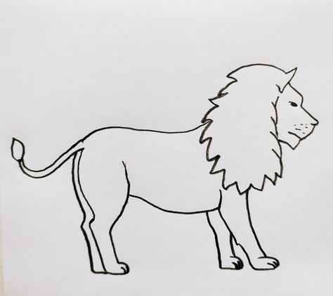 Lion Outline Drawing Drawings step by step for kids #drawingsstepbystepforkids Drawing ideas #drawingideas Drawing ideas for kids #drawingideasforkids 3.20 Lion Drawing For Kids, Lion Outline, Lion Drawing Simple, Lions For Kids, Christmas Drawings For Kids, Drawing Ideas For Kids, Animals Drawing, Lion Drawing, Easy Drawings For Beginners