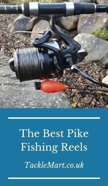 Best Pike Fishing Reel Pike Fishing Lures, Penn Reels, Live Bait, Pike Fishing, Fishing Game, Best Fishing, Fishing Line, Fishing Reels, Fishing Tips