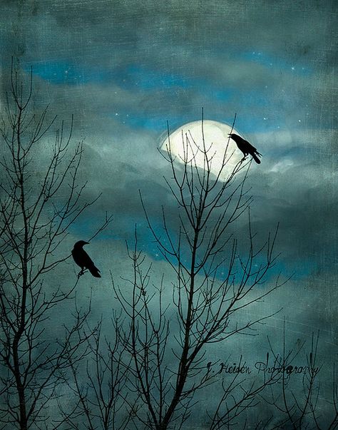 Jamie Heiden, Crow Painting, Moon Gazing, Moody Art, Crow Art, Incredible Art, Raven Art, The Crow, Wow Art