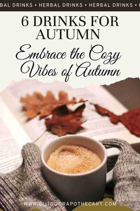 Autumn Drinks Aesthetic, Fall Cider Recipes, Outdoor Apothecary, Autumn Drinks, Autumn Drink, Fall Cider, Cider Drinks, Autumn Blessings, Cozy Drinks